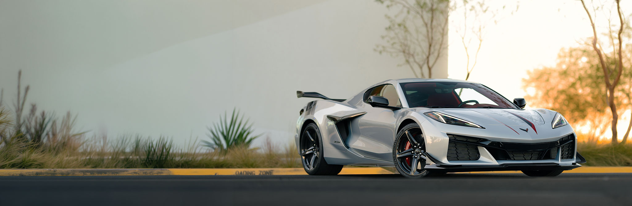 A silver sports car parked along a landscaped curb, shown from a front three‑quarter angle with plants and a light-colored building behind it. 