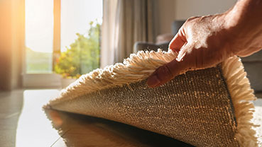 A hand lifting the edge of a textured rug to reveal sunlight shining across a hardwood floor near a large window.