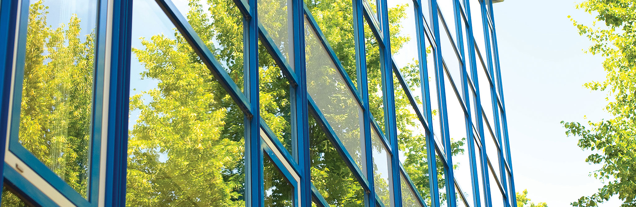 Exterior glass building facade reflecting green trees. 