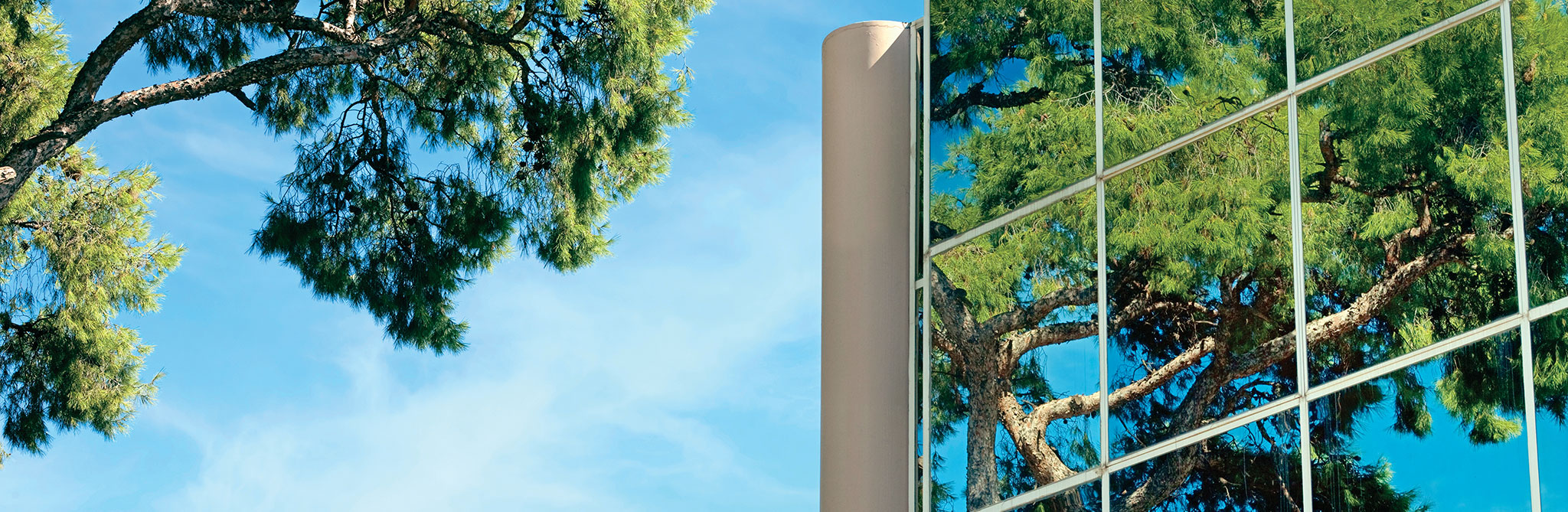 Glass building facade reflecting nearby trees and blue sky. 