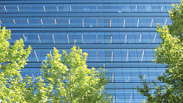 Reflective glass building partly obscured by green trees.