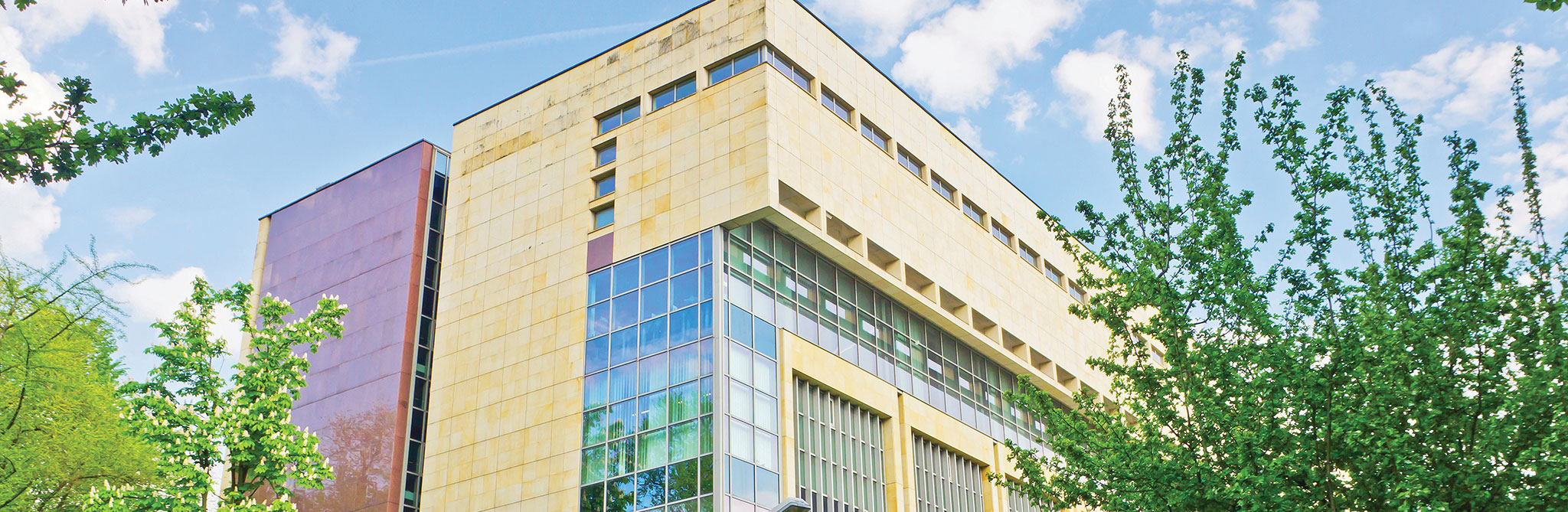 Modern building exterior with large windows surrounded by trees. 