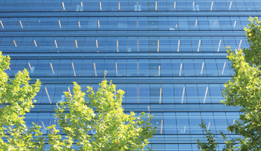 Neutrale Fensterfolien schützen unauffällig Gewerbeimmobilien 